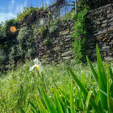 Macaia Family With Ac דירה *