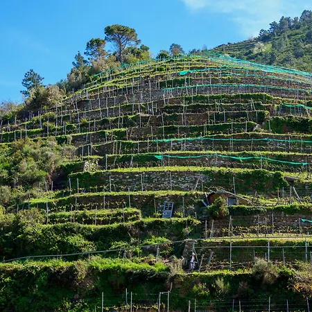 Macaia Family With Ac * ורנאצה
