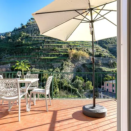 Macaia Family With Ac *