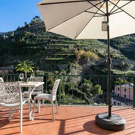 Macaia Family With Ac *