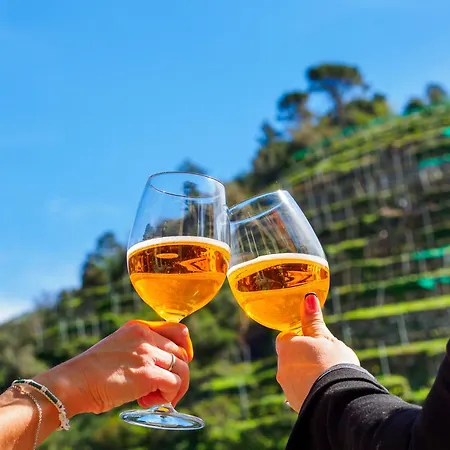 Macaia Family With Ac 베르나차