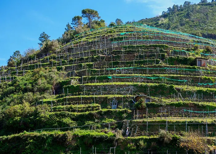 Macaia Family With Ac * Vernazza