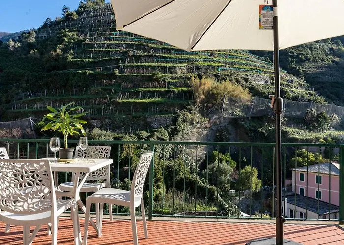 Macaia Family With Ac *